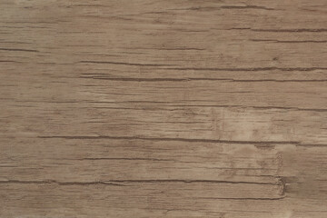 Light Wood Surface Texture Backdrop grunge