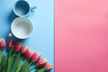 Bouquet of pink tulips on pink and blue background. Two cups  in the shape of the number 8 . Womens Day. Copy space. Mothers day