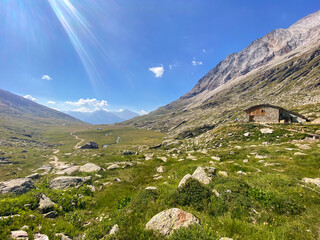 Fototapeta na wymiar Meadow in the Mountains, French Alps 