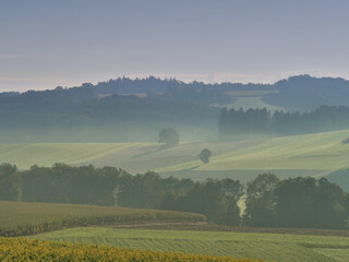 Fototapeta premium Sonnenaufgang im soften morgendlichen Nebel im Herbst in Bayern