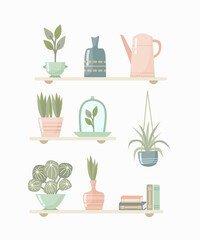 House plant vector illustration