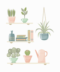House plant vector illustration