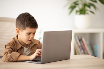 Busy cute european small kid typing on laptop at table, watch video lesson, play game, has meeting