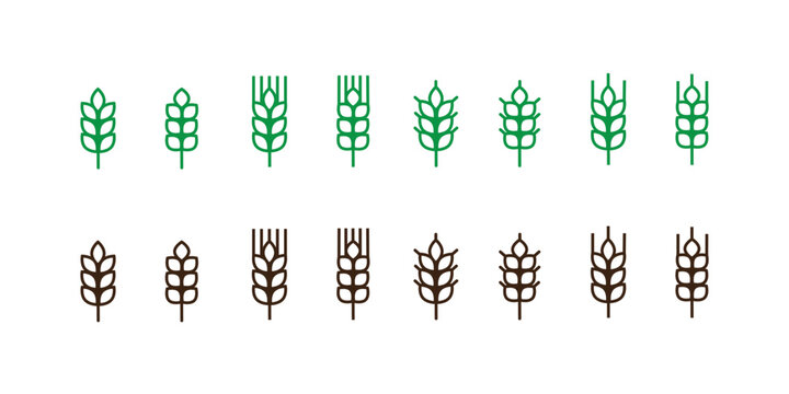 Outline Wheat Icon Or Wheat Symbol.
Barley Spike Or Corn Ear. Bakery, Bread Or Agriculture Logo Concept. Line Grain Sign. Vector Illustration. Vector Graphic. EPS 10