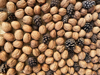 Many cones and nuts  composition background