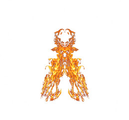 Symmetrical isolated Flame 2