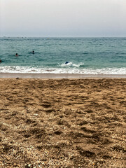 Explore the stunning beauty of nature by the sea and sand