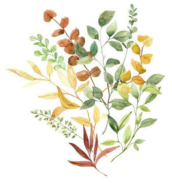 Watercolor hand painted botanical autumn leaves and branches illustration clipart isolated on white background. Isolated objects for wedding invitations and greeting cards