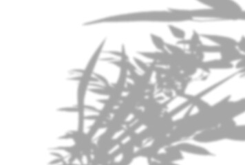 背景イラスト_木漏れ日