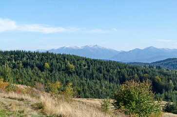 Fototapeta na wymiar Beautiful landscape of autumn meadow and forest in Plana mountain against the background of Rila mountain, Bulgaria 