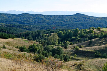 Fototapeta na wymiar Beautiful landscape of autumn meadow and forest in Plana mountain against the background of Rila mountain, Bulgaria 