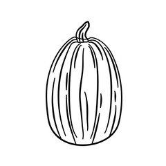 pumpkin vegetarian line illustration