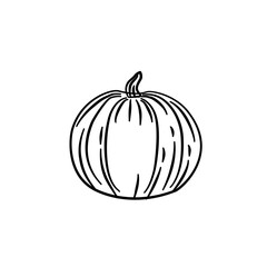 pumpkin vegetarian line illustration