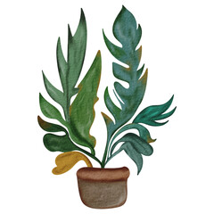 Hand Drawn Watercolor Houseplant Vector Illustration