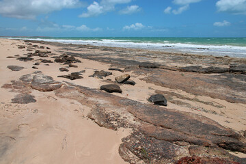françois péron park - shark bay - australia