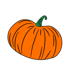 summer squash pumpkin vegetarian 