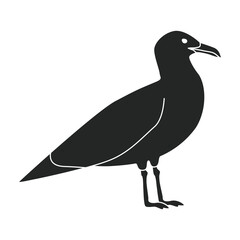 Bird gull vector icon.Black vector icon isolated on white background bird gull.