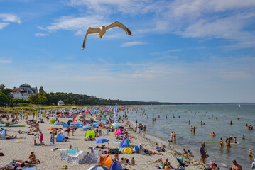 Strand auf der Insel Rügen mit Menschen und Möwe