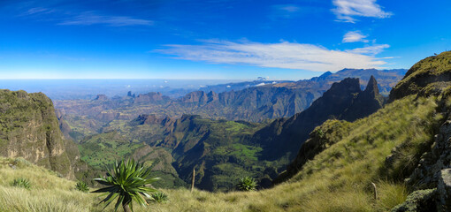 Panoramic view of valley and mountain landscape with clouds and palmtree in foreground in the Simien Mountains Ethiopia, Africa