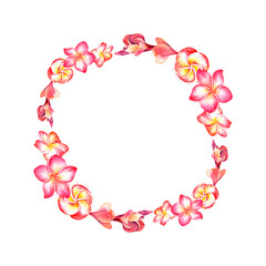 A wreath of plumeria. Tropical flowers. The frame is made of plumeria. Watercolor illustration.