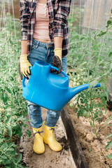 Close-up woman with garden watering can waters plants and green tomatoes, gardening and greenhouse concept
