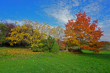 beautiful garden autumn landscape with colorful trees