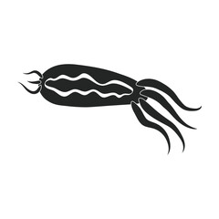 Plankton vector icon.Black vector icon isolated on white background plankton.