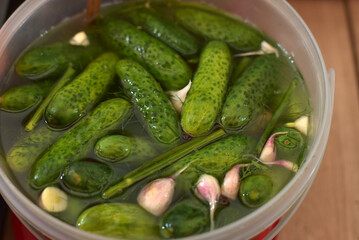 Lightly salted cucumbers in a bucket