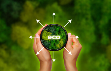 Hand of human holding mug with green plant and text as a symbol of protection of nature. Ecology and world sustainable environment concept. Conceptual image. Earth day.