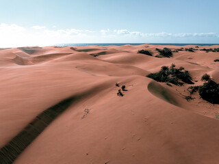 Panoramic aerial scene of the Maspalomas Dunes in Playa del Ingles, Maspalomas, Gran Canaria, Spain. Endless desert sands. Magical safari dunes.