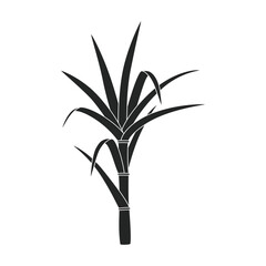 Stem sugar cane vector icon.Black vector icon isolated on white background stem sugar cane.