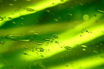 Zielona tekstura z kroplami - wodny świat. Bańki powietrza zatopione w zielonym szkle. Szkło sodowe na zielonym tle - obrazy, fototapety, plakaty