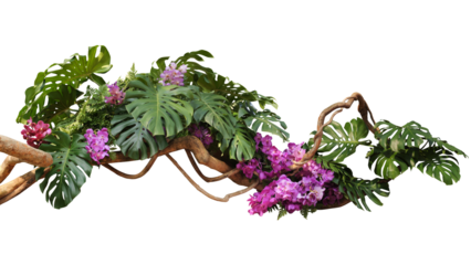 Tropical vibes plant bush floral arrangement with tropical leaves Monstera and fern and Vanda orchids tropical flower decor on tree branch liana vine plant