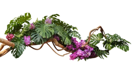  Tropical vibes plant bush floral arrangement with tropical leaves Monstera and fern and Vanda orchids tropical flower decor on tree branch liana vine plant © Chansom Pantip