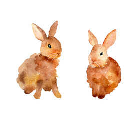 2 hand drawn watercolor rabbits. Brown watercolor rabbits. Chinese new year of rabbit. Easter rabbits.