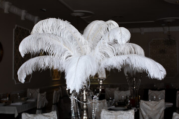 White ostrich feather in vase on a banquet table.