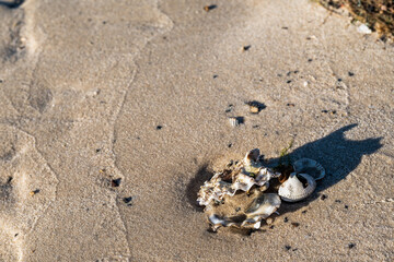Dezembersparziergang auf Wangerooge