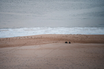 Grupo de jovens na praia