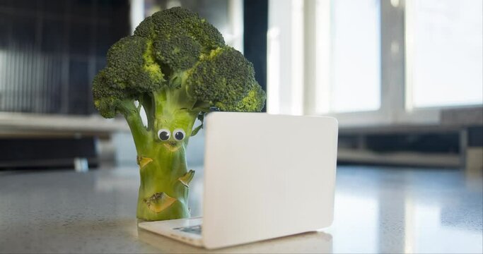 Live broccoli, broccoli animated character with eyes using laptop, notebook. Creative vegan vegatable diet online, proper nutrition concept. Healthy vegetable with laptop, looking at the screen
