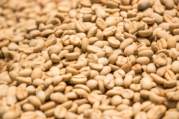 Secado de grano de cafe