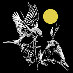 two birds on a branch, isolated on a black background. birds on the background of the night sky and the moon