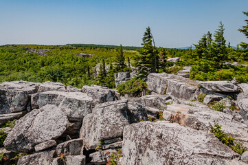 Hiking in Bear Rocks Preserve, West Virginia USA, West Virginia
