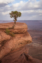 hiking the grand view point trail in the island in the sky in canyonlands national park, usa