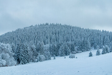 Schöne Winterlandschaft auf den Höhen des Thüringer Waldes bei Oberhof - Thüringen - Deutschland