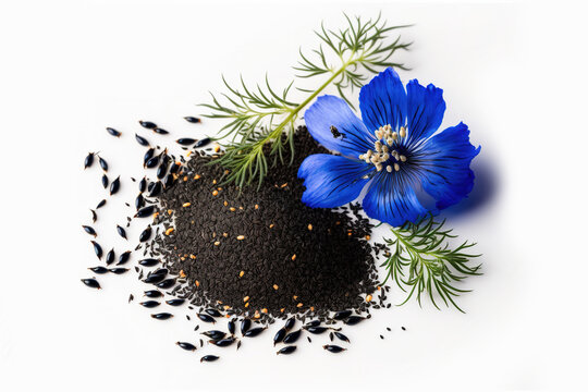 a white background with black cumin seeds and a nigella sativa bloom. Generative AI