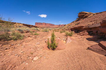 hiking the murphy trail loop in the island in the sky in canyonlands national park, usa