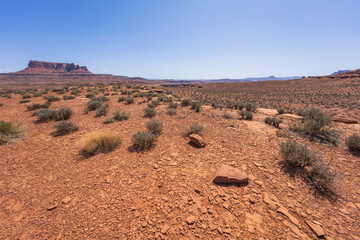 hiking the murphy trail loop in the island in the sky in canyonlands national park, usa
