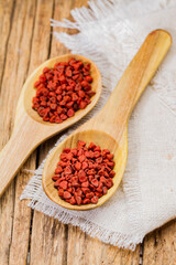 Achiote grains in container, typical condiment of South America, close-up image