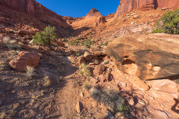 hiking the murphy trail loop in the island in the sky in canyonlands national park, usa