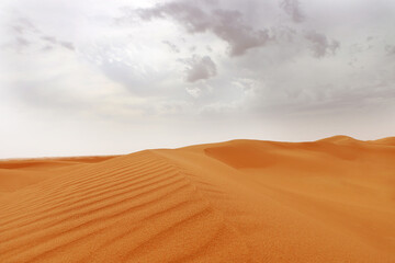 Fototapeta na wymiar Sand dunes desert Background - Beautiful Arabian desert